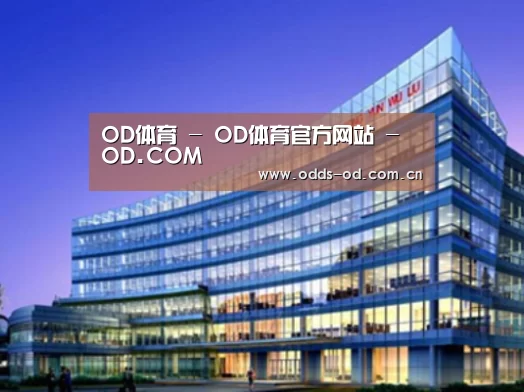 od体育官方入口案例展示三